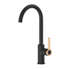 Black Brass Elegant Bathroom Tap With a Swivel Head 360 and a Gold Detail KPY-7431-M7126