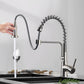 Stainless Kitchen Faucet 360 Flexible Bendable Swivel Dual Spray Chrome Tap Mixer Model KPY-30235