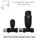 Add TRV Straight Black Valves