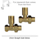 Add Straight Gold Valves