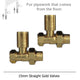 Add Straight Gold Valves